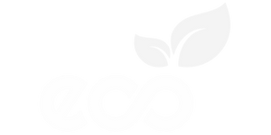 Economizare